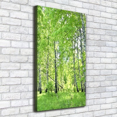 Quadro su tela canvas verticale Foresta di betulle