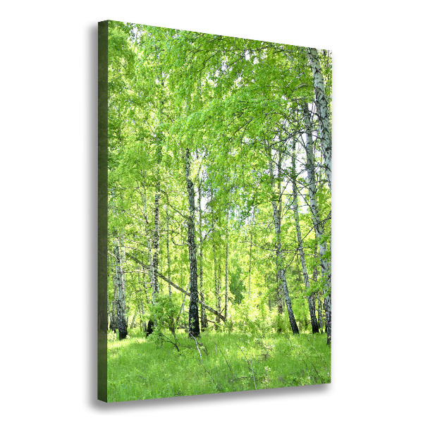 Quadro su tela canvas verticale Foresta di betulle