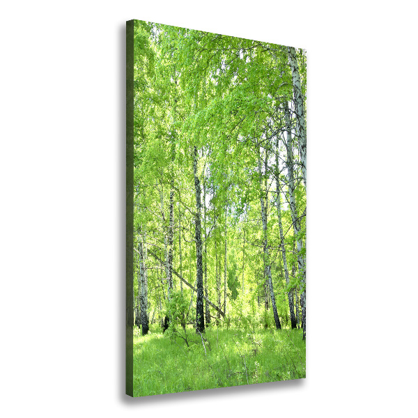 Quadro su tela canvas verticale Foresta di betulle