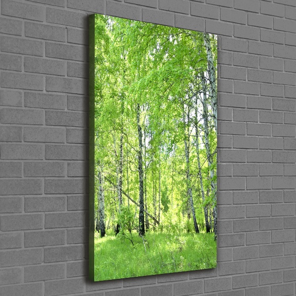 Quadro su tela canvas verticale Foresta di betulle