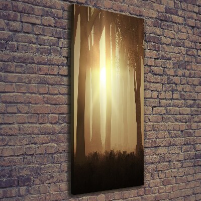 Stampa quadro su tela verticale Nebbia nella foresta