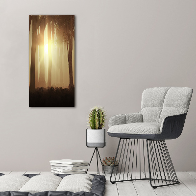 Stampa quadro su tela verticale Nebbia nella foresta