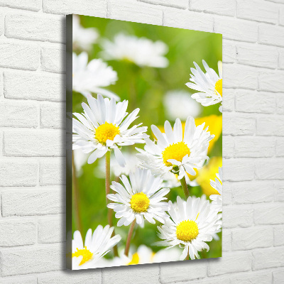 Quadro su tela canvas verticale Margherite
