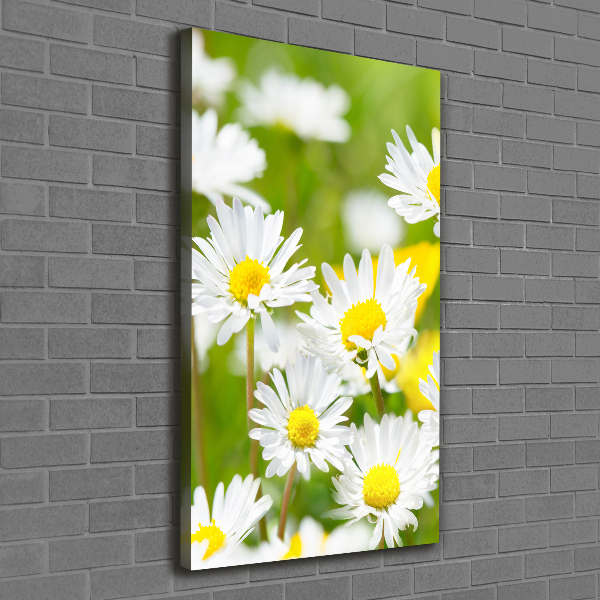 Quadro su tela canvas verticale Margherite