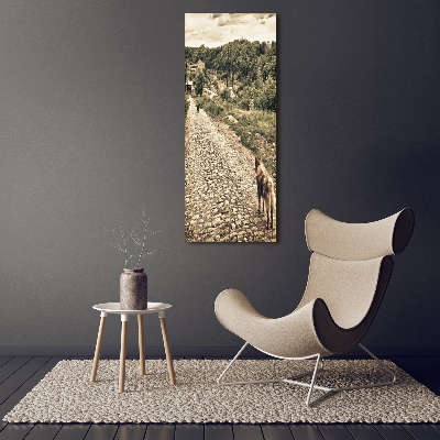 Quadro foto su tela verticale Due cani della collina