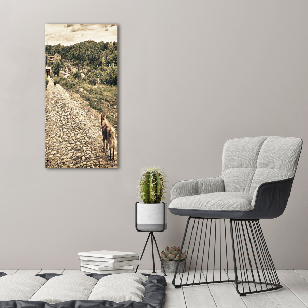 Quadro foto su tela verticale Due cani della collina