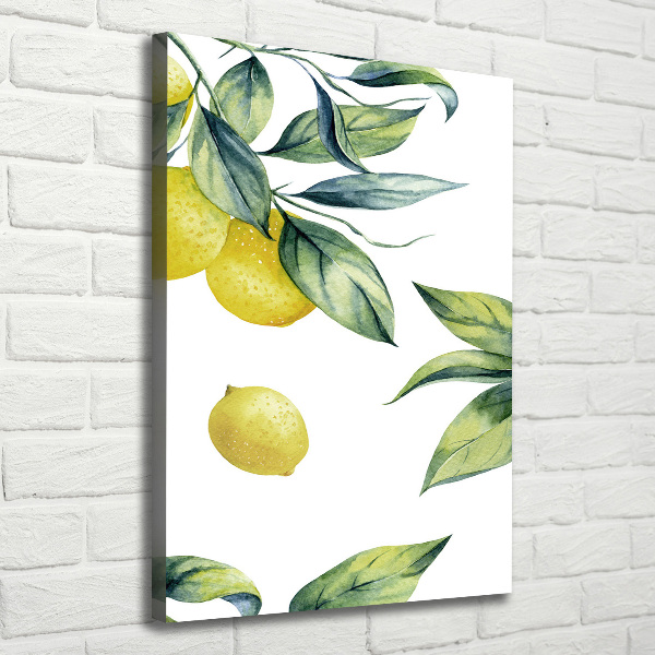 Quadro foto su tela verticale Limoni