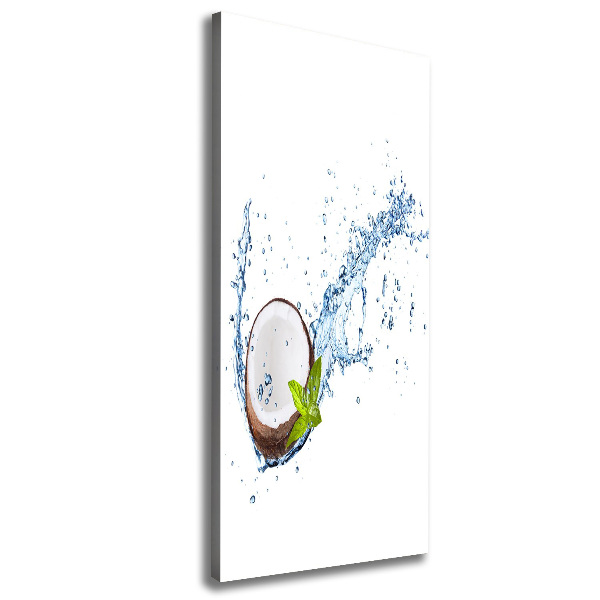 Stampa quadro su tela verticale Noce di cocco