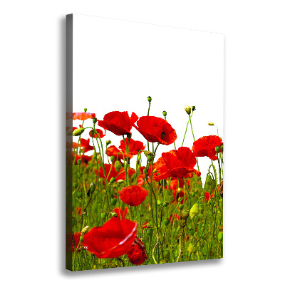 Quadro foto su tela verticale Campo di papaveri