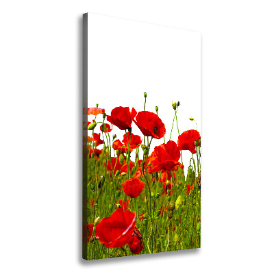 Quadro foto su tela verticale Campo di papaveri