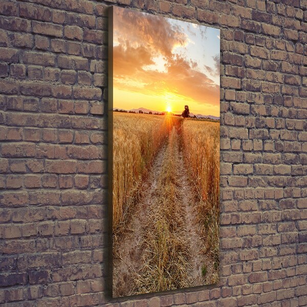 Quadro foto su tela verticale Campo di grano