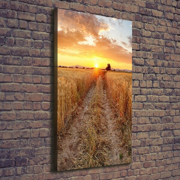 Quadro foto su tela verticale Campo di grano