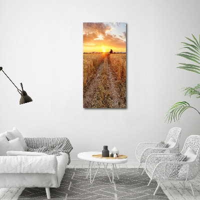 Quadro foto su tela verticale Campo di grano
