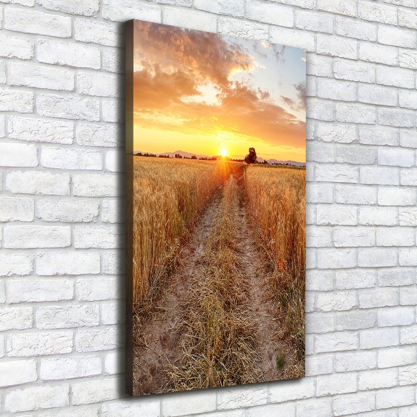 Quadro foto su tela verticale Campo di grano