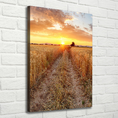 Quadro foto su tela verticale Campo di grano