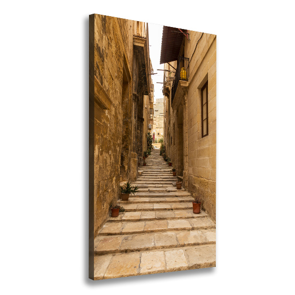 Quadro su tela canvas verticale Le strade di Malta