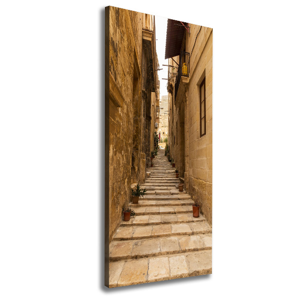Quadro su tela canvas verticale Le strade di Malta