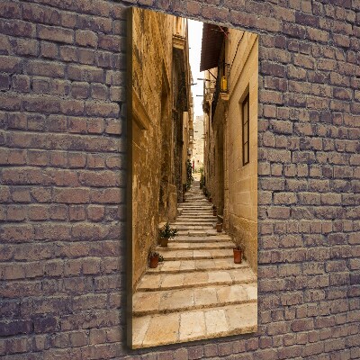 Quadro su tela canvas verticale Le strade di Malta