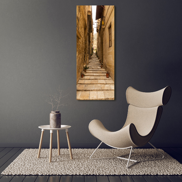 Quadro su tela canvas verticale Le strade di Malta