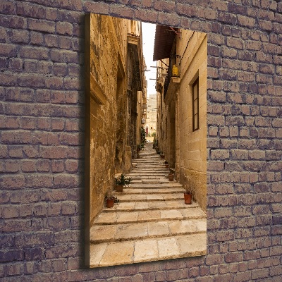 Quadro su tela canvas verticale Le strade di Malta