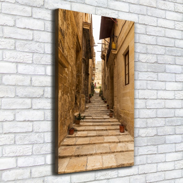 Quadro su tela canvas verticale Le strade di Malta