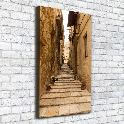Quadro su tela canvas verticale Le strade di Malta