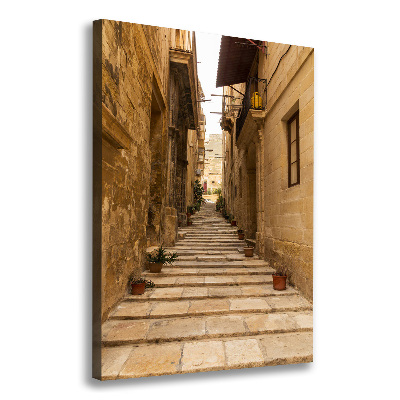Quadro su tela canvas verticale Le strade di Malta