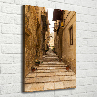 Quadro su tela canvas verticale Le strade di Malta