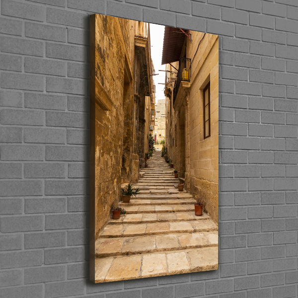 Quadro su tela canvas verticale Le strade di Malta