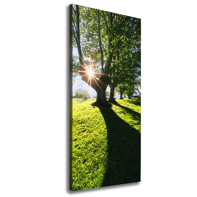 Quadro foto su tela verticale Parco