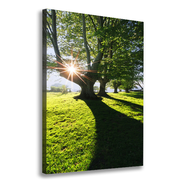 Quadro foto su tela verticale Parco