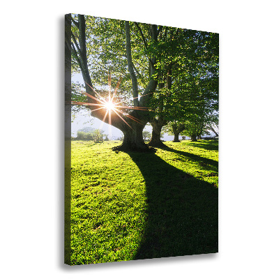 Quadro foto su tela verticale Parco