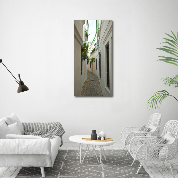 Quadro foto su tela verticale Le strade dell'Andalusia