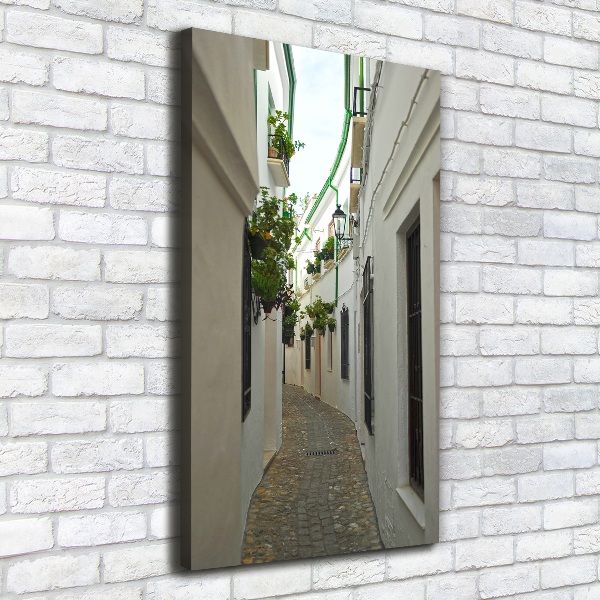Quadro foto su tela verticale Le strade dell'Andalusia