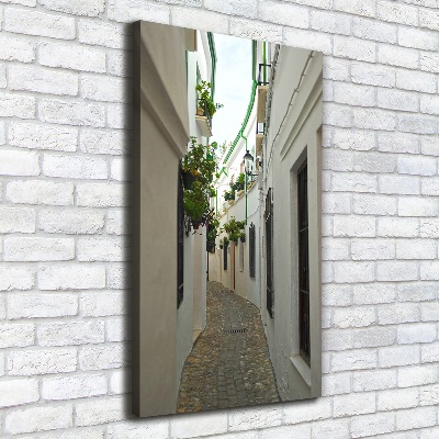 Quadro foto su tela verticale Le strade dell'Andalusia