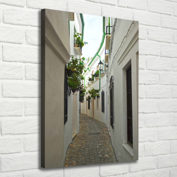 Quadro foto su tela verticale Le strade dell'Andalusia