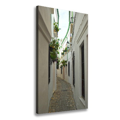 Quadro foto su tela verticale Le strade dell'Andalusia