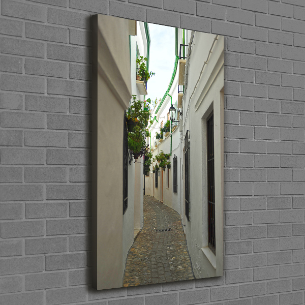 Quadro foto su tela verticale Le strade dell'Andalusia