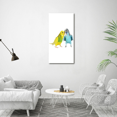 Quadro su tela canvas verticale Pappagalli ondulati