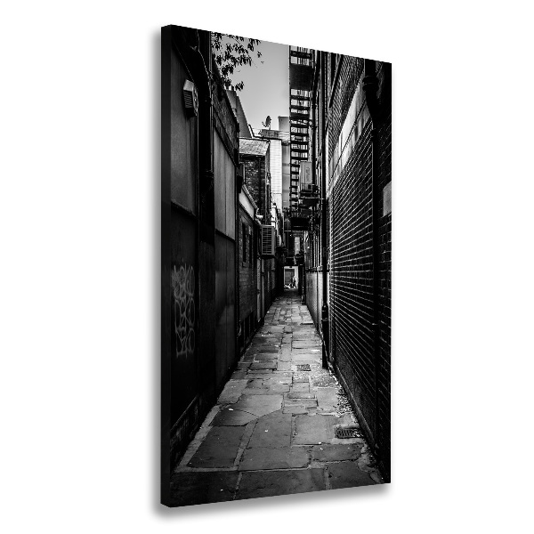 Quadro su tela canvas verticale Strade cittadine