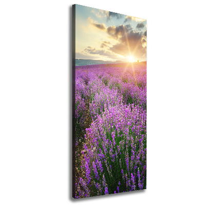 Quadro su tela canvas verticale Campo di lavanda