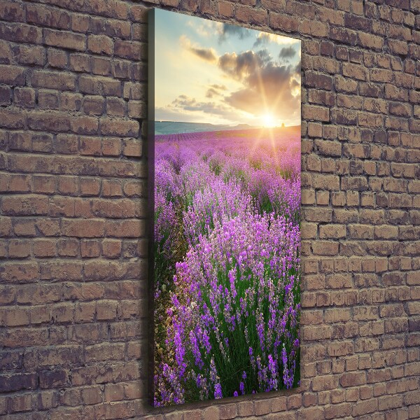 Quadro su tela canvas verticale Campo di lavanda