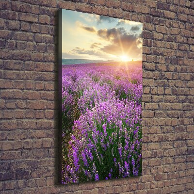 Quadro su tela canvas verticale Campo di lavanda