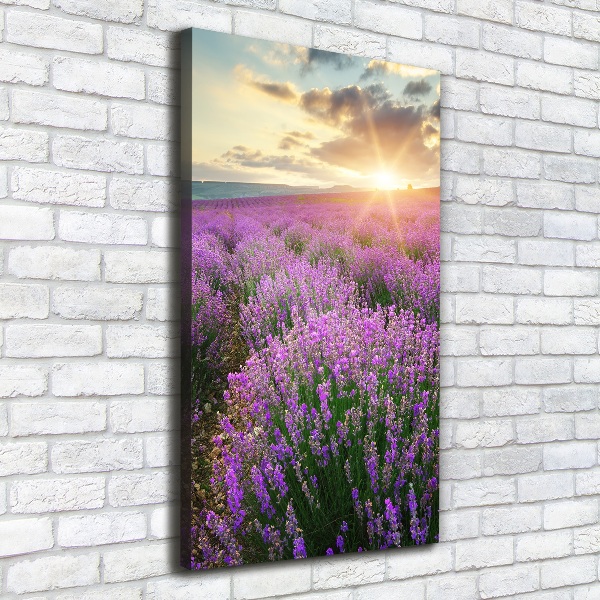 Quadro su tela canvas verticale Campo di lavanda