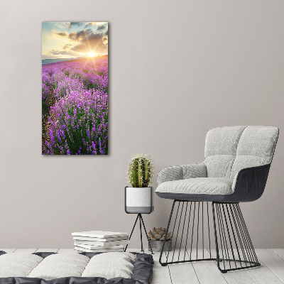 Quadro su tela canvas verticale Campo di lavanda