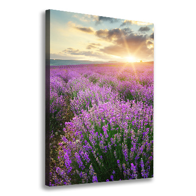 Quadro su tela canvas verticale Campo di lavanda