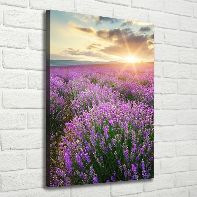 Quadro su tela canvas verticale Campo di lavanda