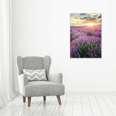 Quadro su tela canvas verticale Campo di lavanda