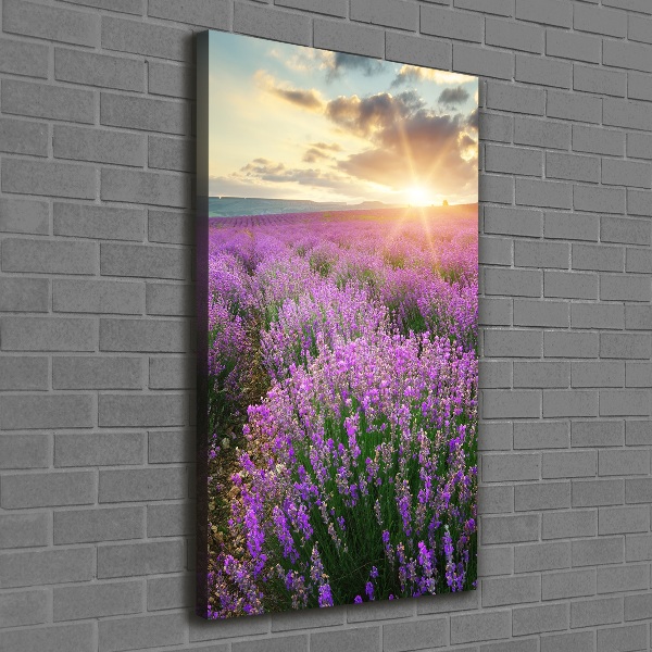 Quadro su tela canvas verticale Campo di lavanda