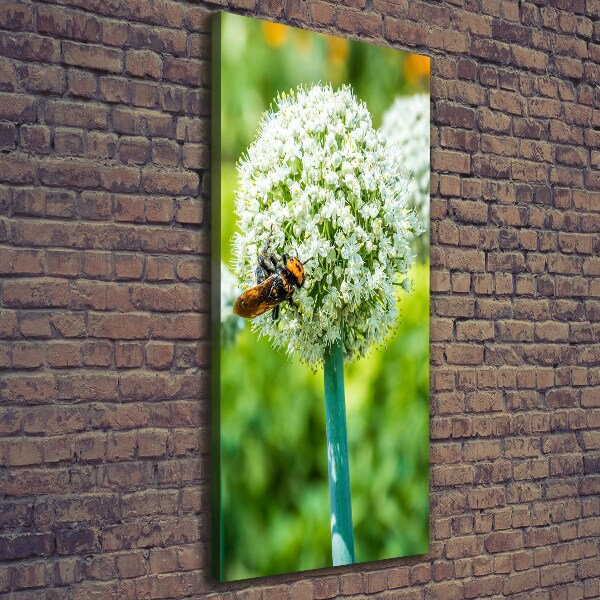Quadro su tela canvas verticale Fiori d'aglio